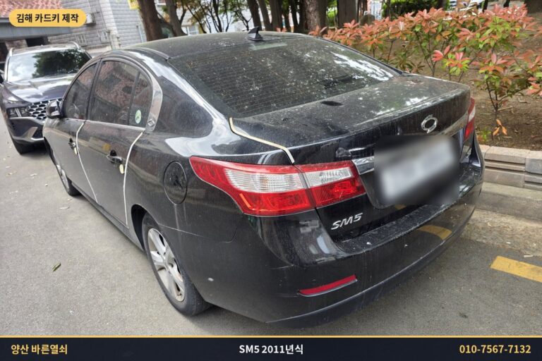 김해 르노삼성 SM5 2011년식 차량 후면